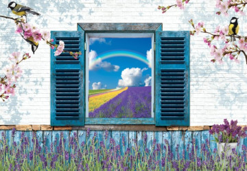 mavi pencerede açılan çiçek…